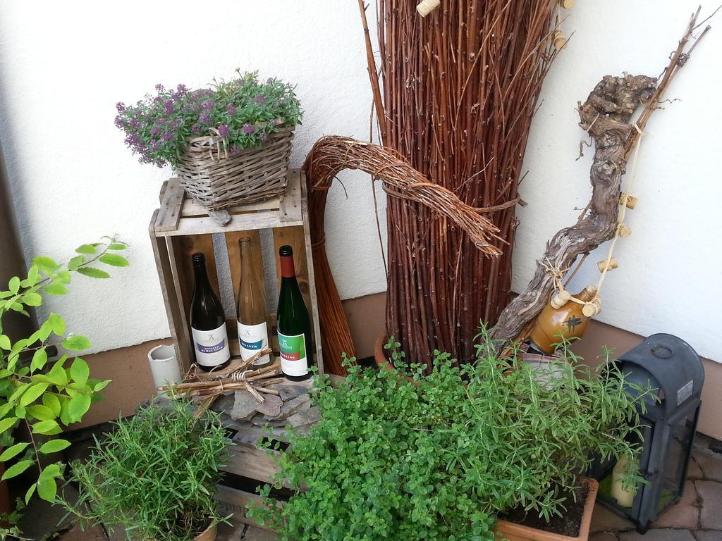 Ferienwohnung Weingut Ackermann Zeltingen-Rachtig Esterno foto